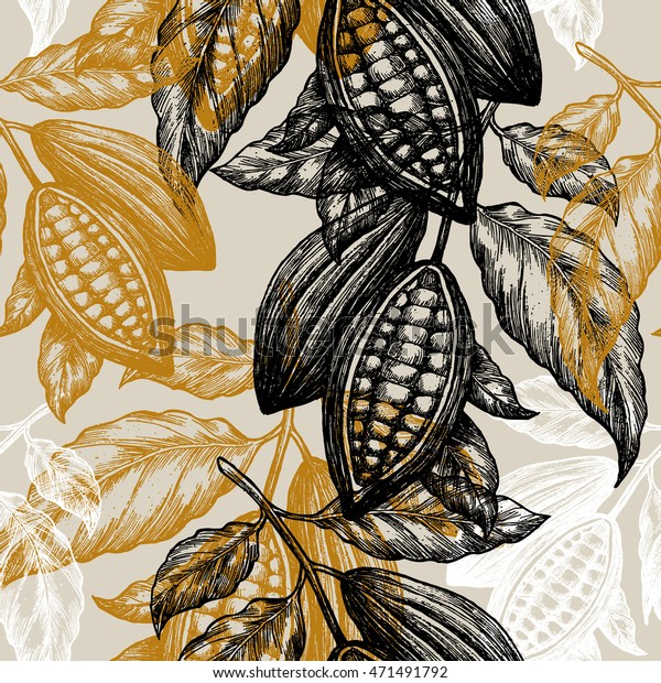 ココア豆のシームレスな模様 ココアの木のイラスト 彫り込みスタイルのイラスト チョコレートココア豆 ベクターイラスト のベクター画像素材 ロイヤリティフリー