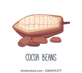 Cocoa Beans Are The Seeds Of The Cacao Tree, Used To Make Chocolate, And Contain Cocoa Solids And Cocoa Butter