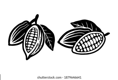 Cocoa beans sketch. Vector icon on white