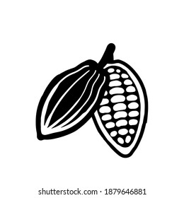 Cocoa beans sketch. Vector icon on white