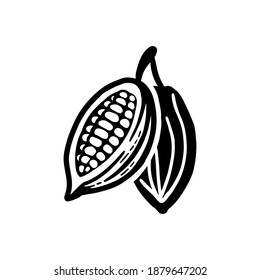 Cocoa beans sketch. Vector icon on white