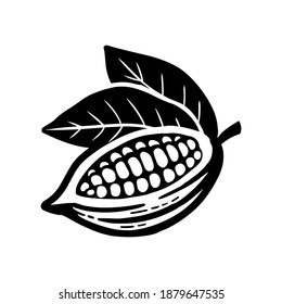 Cocoa beans sketch. Vector icon on white