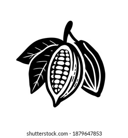 Cocoa beans sketch. Vector icon on white