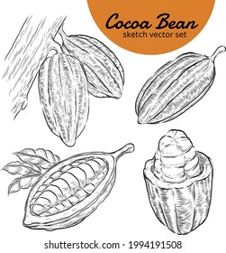 Conjunto de vectores de esbozo de cacao