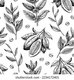 Cocoa beans, tea and coffee branches. Seamless pattern in engraving vintage antique style. Vector drawing