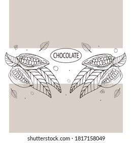 
Cocoa beans. Template for label, menu, banner for chocolate products. Vector style illustration with engraving.