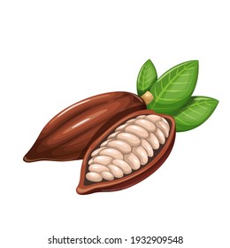 Cocoa beans vector icon. Chocolate sweets design. Healthy detox natural product superfood illustration for design market menu superfood .