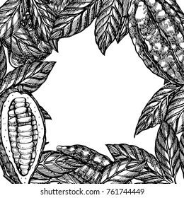 Cocoa beans vector illustration. Engraved Sketch style botanical plants frame. Organic food illustration.
