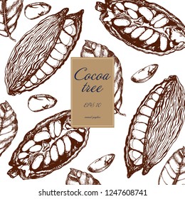 cocoa beans vector illustration on white background, hand drawing