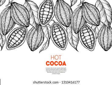 Cocoa beans vector illustration. Cocoa pods sketch. Chocolate beans. Vintage design. Hand drawn illustration.  Organic healthy food sketch. 