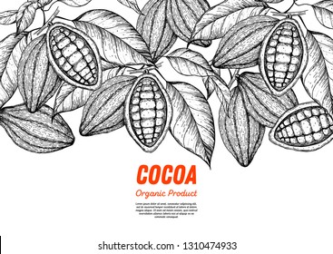 El cacao es una ilustración vectorial. Dibujo de bacalao. Granos de chocolate. Diseño de época. Ilustración dibujada a mano.  Dibujo de comida orgánica saludable. 