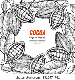Cocoa beans vector illustration. Cocoa pods sketch. Chocolate beans. Vintage design. Hand drawn illustration.