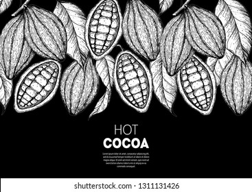 Cocoa beans vector illustration. Cocoa pods sketch. Chocolate beans. Vintage design. Hand drawn illustration. Organic healthy food sketch.