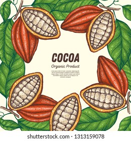 Cocoa beans vector illustration. Cocoa pods. Chocolate beans. Vintage design. Hand drawn illustration