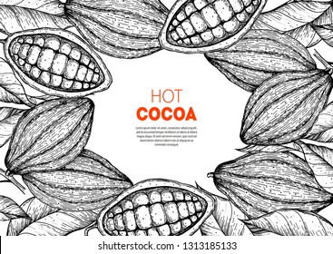 Cocoa beans vector illustration. Cocoa pods sketch. Chocolate beans. Vintage design. Hand drawn illustration.