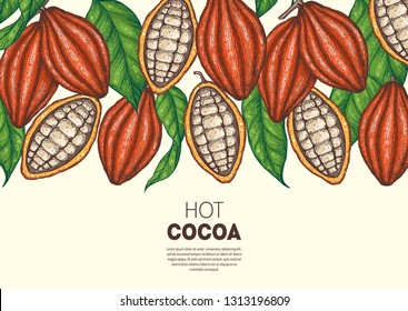 Cocoa beans vector illustration. Cocoa pods. Chocolate beans. Vintage design. Hand drawn illustration. 