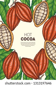 Cocoa beans vector illustration. Cocoa pods. Chocolate beans. Vintage design. Hand drawn illustration. 