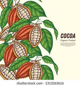 Cocoa beans vector illustration. Cocoa pods. Chocolate beans. Vintage design. Hand drawn illustration. 