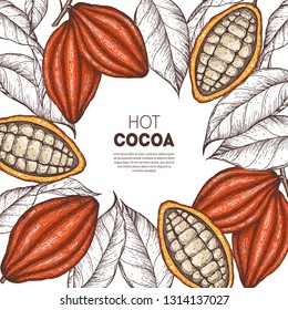 Cocoa beans vector illustration. Cocoa pods sketch. Chocolate beans. Vintage design. Hand drawn illustration.