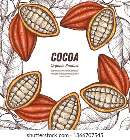 Cocoa beans vector illustration. Cocoa pods sketch. Chocolate beans. Vintage design. Hand drawn illustration. Can used for packaging design.