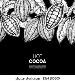 Cocoa beans vector illustration. Cocoa pods sketch. Chocolate beans. Vintage design. Hand drawn illustration. Organic healthy food sketch. Can used for packaging design.