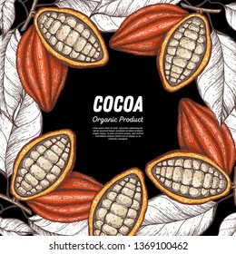 Cocoa beans vector illustration. Cocoa pods sketch. Chocolate beans. Vintage design. Hand drawn illustration. Can used for packaging design.