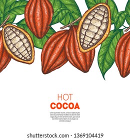 Cocoa beans vector illustration. Cocoa pods sketch. Chocolate beans. Vintage design. Hand drawn illustration. Can used for packaging design.