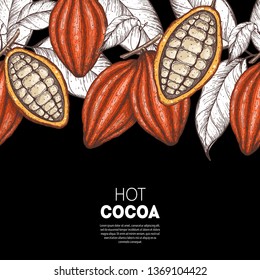 Cocoa beans vector illustration. Cocoa pods sketch. Chocolate beans. Vintage design. Hand drawn illustration. Can used for packaging design.