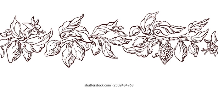 Cocoa branch, fruits. Vector botanical details border. Aroma beans, texture leaves on white background. Organic raw chocolate, bio butter. Vintage decor, frame for food design