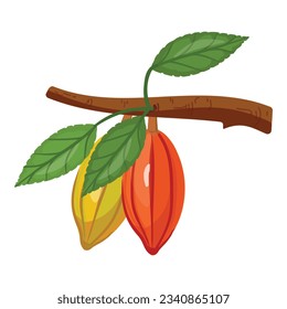 Vector de dibujos animados de iconos de la rama del cacao. Judía de árbol. Nuez de hoja