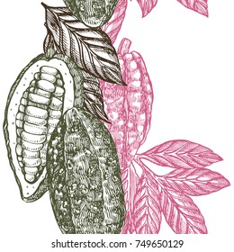 Cocoa branch seamless pattern. Isolated hand drawn illustration on white background. Organic healthy food