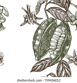 Cocoa branch seamless pattern. Isolated hand drawn illustration on white background. Organic healthy food.