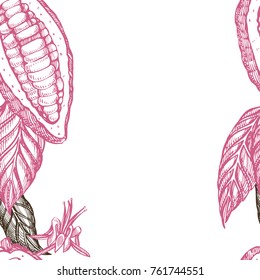Cocoa branch seamless pattern. Isolated hand drawn illustration on white background. Organic healthy food.