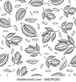 Cocoa branch vector seamless pattern. Superfood drawing. Isolated hand drawn  background on white background. Organic healthy food