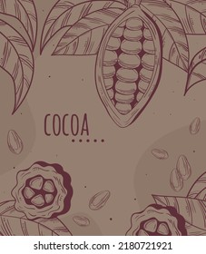 cocoa and cacao seeds and leaves