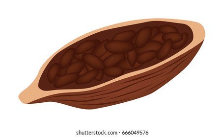 cocoa and chocolate seed vector