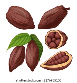 cocoa chocolate set cartoon vector. cacao bean, plant tree, organic fruit cocoa chocolate. isolated color illustration