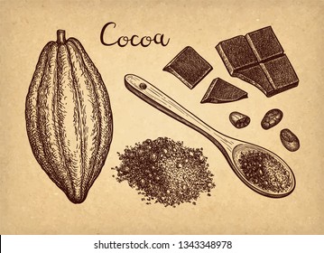 Cocoa and chocolate set. Ink sketch isolated on white background. Hand drawn vector illustration. Retro style. 