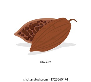 Cocoa chocolate tree fruit isolated on white flat design. Brown plant pod with many beans inside. Sweet tropical agriculture product cut in half. Aromatic ingredient for cooking, confectionary, bakery