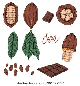 Cocoa color set, vector