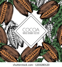 Cocoa color set, vector