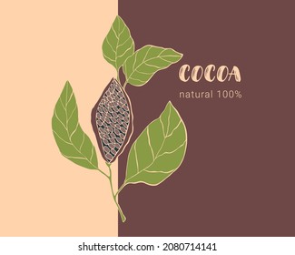 Cocoa design template, banner, label, background. Hand drawing doodling. Contour. Brown.