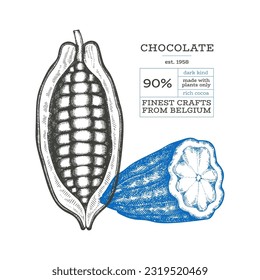 Cocoa design template. Chocolate cocoa beans background. Vector hand drawn illustration. Vintage style illustration.