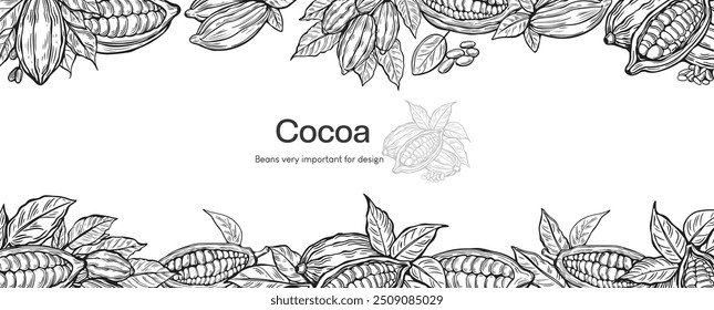 Cocoa design template vector illustration. Line art  vintage sketches of cacao beans, nuts and plants, organic cocoa. 