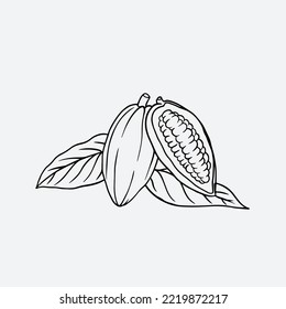 cocoa of drawing ink on paper for chocolate packaging. cocoa sketch of farmer for banner, poster vintage, label packaging. 