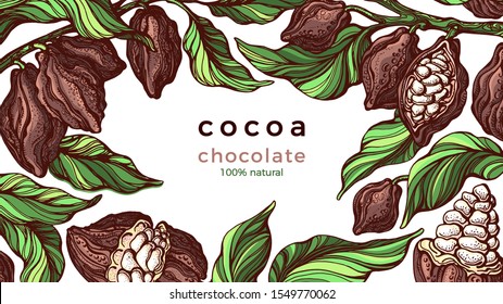 Marco de cacao. chocolate natural. Rama botánica dibujada a mano vectora, judías, frutas tropicales, hojas verdes. Comida orgánica dulce, dibujo gráfico, borde. Paquete de cosecha Cacao. Plantilla de naturaleza.
