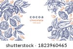 Cocoa frame. Vector nature graphic background. Art hand drawn botanical tree, bean, tropical fruit, foliage. Organic sweet food, aroma drink, natural chocolate. Vintage pattern