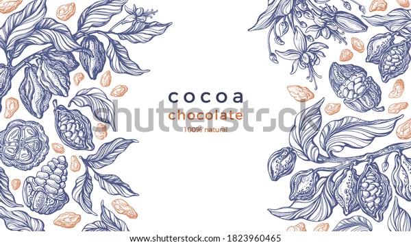 Cocoa frame.\
Vector nature graphic background. Art hand drawn botanical tree,\
bean, tropical fruit, foliage. Organic sweet food, aroma drink,\
natural chocolate. Vintage\
pattern