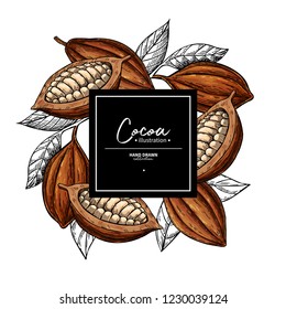 Cocoa frame. Vector superfood drawing template.  Fruit, leaf and bean engraving. Organic healthy food sketch. Hand drawn chocolate packaging, cacao banner, poster, label. Isolated illustration