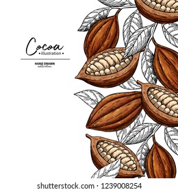 Cocoa frame. Vector superfood drawing template.  Fruit, leaf and bean engraving. Organic healthy food sketch. Hand drawn chocolate packaging, cacao banner, poster, label. Isolated illustration